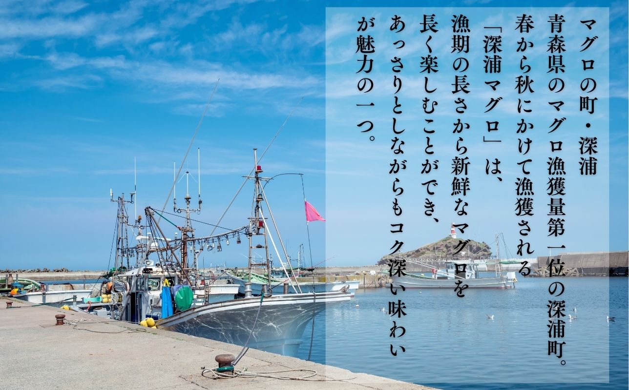 本マグロ 赤身 1柵 国産 本鮪