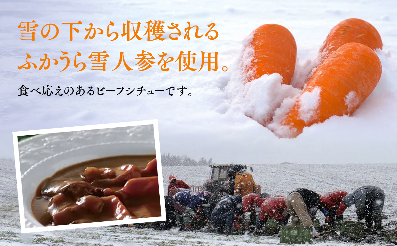 雪人参 ビーフシチュー 220g×3個 