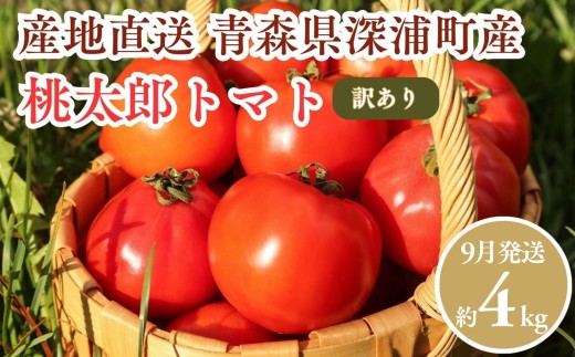 【9月発送】訳あり 青森県産 桃太郎 トマト 約4kg 大玉 tomato 新鮮 野菜 旬 甘い 完熟 ジュース 産地直送 農家直送
