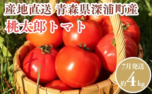 【7月発送】青森県産 桃太郎 トマト 約4kg 20玉前後 大玉 tomato 新鮮 野菜 旬 甘い 完熟  産地直送 農家直送