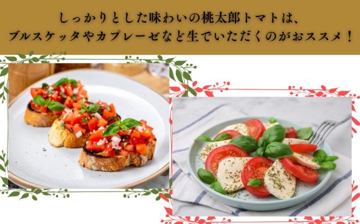 縲9譛育匱騾√鷹搨譽ョ逵檎肇 譯螟ェ驛 繝医槭ヨ 邏4kg 20邇牙燕蠕 螟ァ邇 tomato 譁ー魄ョ 驥手除 譌ャ 逕倥> 螳檎 繧ク繝・繝シ繧ケ 逕」蝨ー逶エ騾 霎イ螳カ逶エ騾 縺雁叙繧雁ッ縺