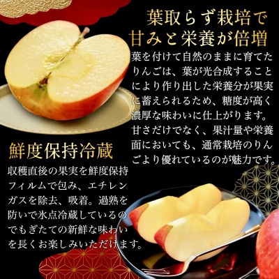 [先行予約]葉とらずサンふじ 厳選 小玉 約3kg ご家庭用りんご(訳あり) 青森リンゴ 青森林檎【配送不可地域：離島・沖縄県】【1278838】