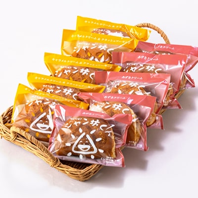 生どら焼き「ジャン坊くん」10個入(5個×2種類)【配送不可地域：離島・沖縄県】【1522363】