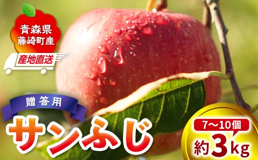 ＜産地直送＞ サンふじ 贈答用 約3kg（7〜10個）りんご リンゴ 林檎 果物 フルーツ  F41-0073