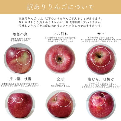 【産地直送】サンふじ 家庭用 3kg(7〜10個)【配送不可地域：離島・沖縄県】【1663938】