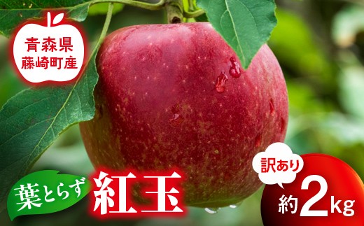 【先行予約】≪訳あり≫ 葉とらず 紅玉 約2kg【グランドアップル】 青森りんご リンゴ 林檎 アップル 果物 くだもの フルーツ 家庭用 わけあり ワケアリ  F41-0032