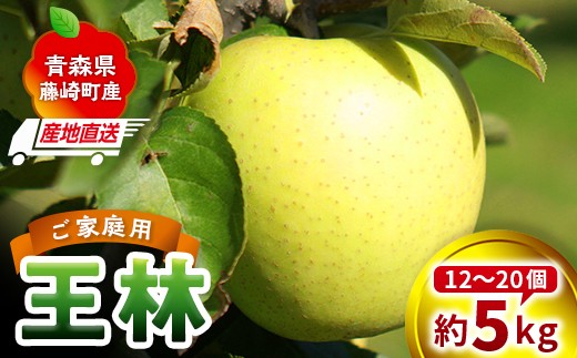 ＜産地直送＞ 王林 りんご 家庭用 約5kg（12〜20個） リンゴ 林檎 果物 フルーツ  F41-0078