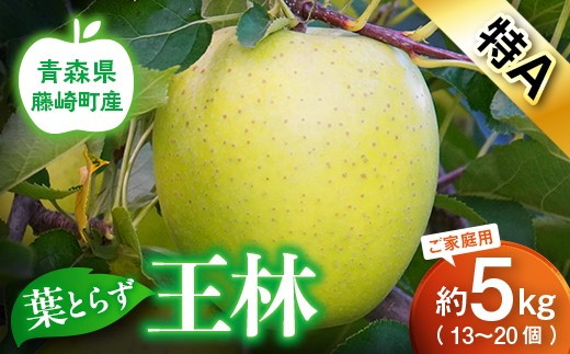 【先行予約】王林 特A 家庭用 約5kg（13〜20個） りんご リンゴ 林檎  F41-0025