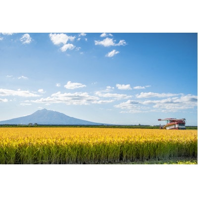 鿣®çç£ ãããªãã蟲åãç¹æ œã¯ãããããçœç±³10kgãé
éäžå¯å°åïŒé¢å³¶ã»æ²çžçãã1565538ã