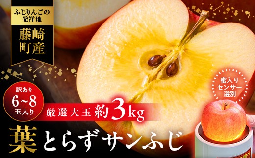 【先行予約】葉とらずサンふじ 大玉 約3kg（6〜8玉） 【アップルアーク】 ご家庭用 りんご 訳あり 青森県産 リンゴ 青森林檎  F41-0005