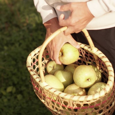 【産地直送】「王林」りんご　家庭用　5kg(12〜20個)【配送不可地域：離島・沖縄県】【1667204】