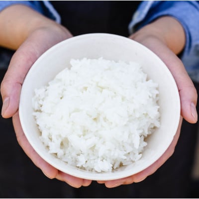 PeboRa　青森米食べ比べ5本セット　無洗米【配送不可地域：離島・沖縄県】【1560879】