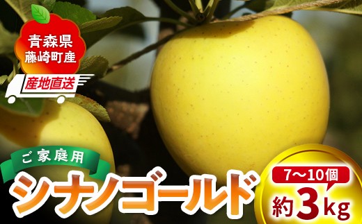 ＜産地直送＞ シナノゴールド 家庭用 約3kg （7〜10個）りんご リンゴ 林檎 果物 フルーツ  F41-0081