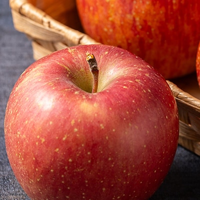 サンふじ 家庭用 約3kg(8〜12個)【配送不可地域：離島・沖縄県】【1240453】