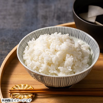 青森県産　青天の霹靂　白米10kg【配送不可地域：離島・沖縄県】【1250841】