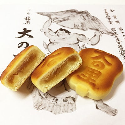 大の里(オオノサト)10個入り【配送不可地域：離島・沖縄県】【1515028】