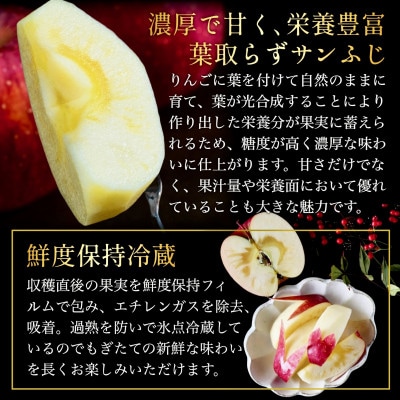 葉とらずサンふじ 大玉 約3kg(6〜8玉) ご家庭用りんご(訳あり) 青森県産リンゴ 青森林檎【配送不可地域：離島・沖縄県】【1102373】