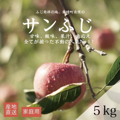 【産地直送】サンふじ　家庭用　5kg(12〜20個)【配送不可地域：離島・沖縄県】【1667200】