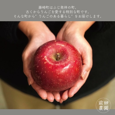 【産地直送】サンふじ 家庭用 3kg(7〜10個)【配送不可地域：離島・沖縄県】【1663938】