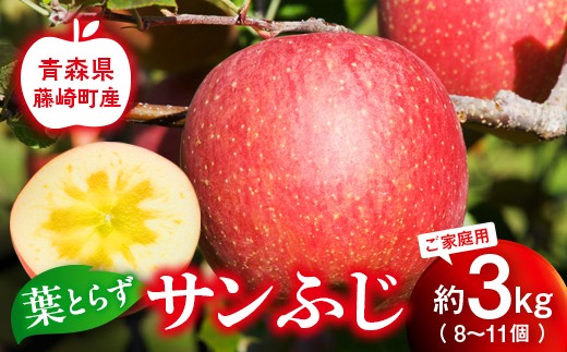 【先行予約】皮ごとバリッ！葉とらず サンふじ 特Aご家庭用 約3kg（8〜11個）りんご リンゴ 林檎  F41-0020