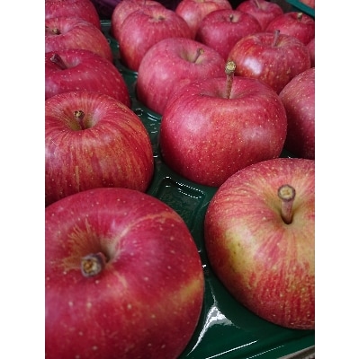 サンふじ 家庭用 約10kg(28〜40個)【配送不可地域：離島・沖縄県】【1240458】