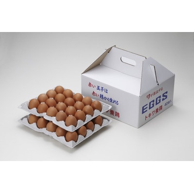 トキワのたまご(赤玉)　40個入【配送不可地域：離島・沖縄県】【1284338】