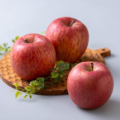 サンふじ 家庭用 約5kg(14〜20個)【配送不可地域：離島・沖縄県】【1240457】