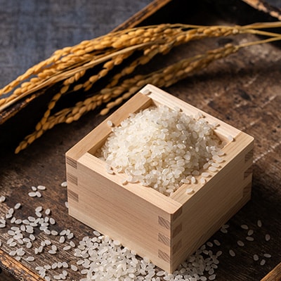 青森県産　青天の霹靂　白米10kg【配送不可地域：離島・沖縄県】【1250841】