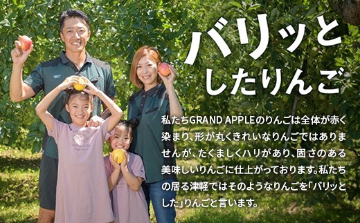 【先行予約】葉とらず サンつがる 特A 家庭用 約3kg【グランドアップル】 青森りんご リンゴ 林檎 アップル 果物 くだもの フルーツ  F41-0038
