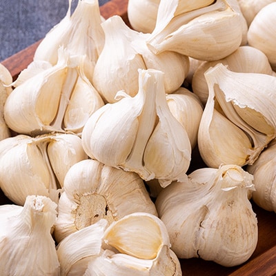 JA津軽みらいの訳アリときわにんにく2kg【配送不可地域：離島・沖縄県】【1379437】