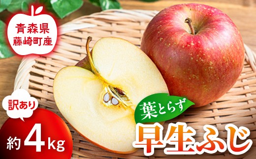 【先行予約】≪訳あり≫ 葉とらず 早生ふじ 約4kg【グランドアップル】 青森りんご リンゴ 林檎 アップル 果物 くだもの フルーツ  F41-0037