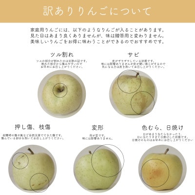 【産地直送】「王林」りんご　家庭用　5kg(12〜20個)【配送不可地域：離島・沖縄県】【1667204】
