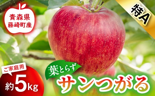 【先行予約】葉とらず サンつがる 特A 家庭用 約5kg【グランドアップル】 青森りんご リンゴ 林檎 アップル 果物 くだもの フルーツ  F41-0039