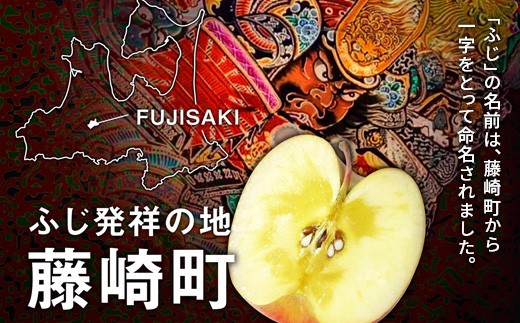【先行予約】王林 特A ご家庭用 約3kg（8〜11個） りんご リンゴ 林檎  F41-0024