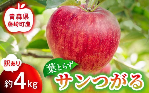【先行予約】訳あり 葉とらず サンつがる 約4kg【グランドアップル】 青森りんご リンゴ 林檎 アップル 果物 くだもの フルーツ  F41-0041