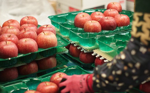 ＜産地直送＞ サンふじ 家庭用 約3kg （7〜10個） りんご リンゴ 林檎 果物 フルーツ  F41-0074