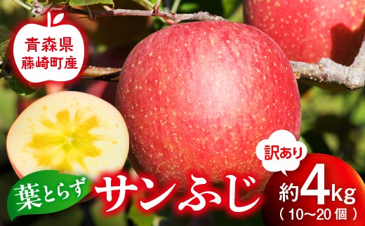【先行予約】産地直送 葉とらず サンふじ 訳あり 約4kg（10〜20個） りんご リンゴ 林檎  F41-0022