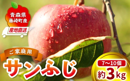 ＜産地直送＞ サンふじ 家庭用 約3kg （7〜10個） りんご リンゴ 林檎 果物 フルーツ  F41-0074