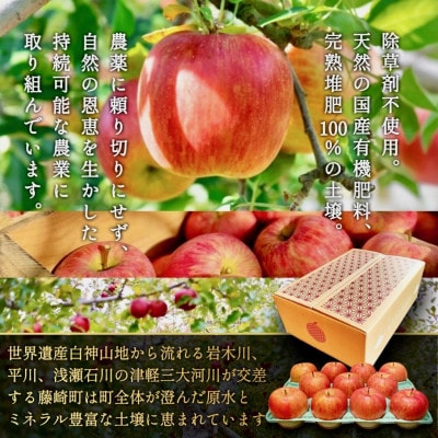 [年明け発送] 葉とらずサンふじ 厳選 小玉 約3kg ご家庭用りんご(訳あり) 青森リンゴ 林檎【配送不可地域：離島・沖縄県】【1558471】