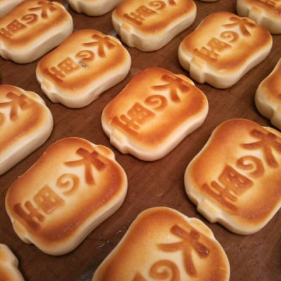 大の里(オオノサト)15個入り【配送不可地域：離島・沖縄県】【1026681】