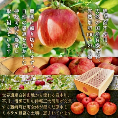 葉とらずサンふじ 大玉 約3kg(6〜8玉) ご家庭用りんご(訳あり) 青森県産リンゴ 青森林檎【配送不可地域：離島・沖縄県】【1102373】