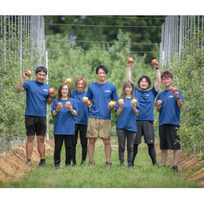 産地直送　葉とらずサンふじ　訳あり　約2kg【配送不可地域：離島・沖縄県】【1516074】