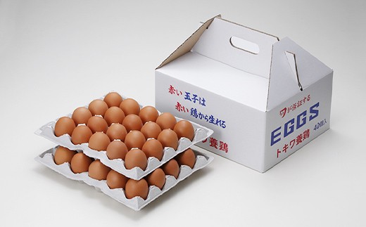 トキワのたまご 赤玉 40個入 卵 玉子 タマゴ  F41-0071