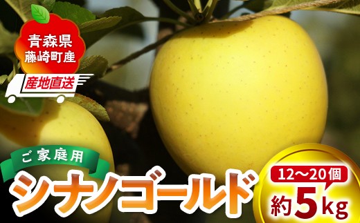 ＜産地直送＞ シナノゴールド 家庭用 約5kg（12〜20個）りんご リンゴ 林檎 果物 フルーツ  F41-0082