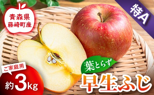 【先行予約】葉とらず早生ふじ 特A 家庭用 約3kg【グランドアップル】 青森りんご リンゴ 林檎 アップル 果物 くだもの フルーツ  F41-0034