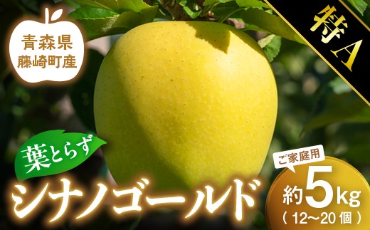 【先行予約】シナノゴールド 特A ご家庭用 約5kg（12〜20個）りんご リンゴ 林檎 果物 フルーツ  F41-0028