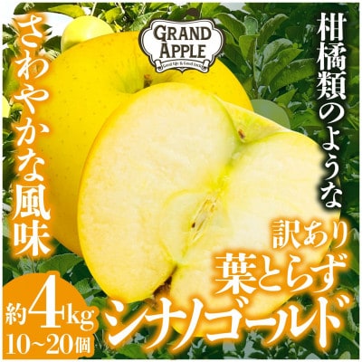 シナノゴールド　訳あり　約4kg(10〜20個)【配送不可地域：離島・沖縄県】【1552668】