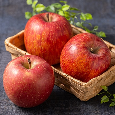 サンふじ 家庭用 約3kg(8〜12個)【配送不可地域：離島・沖縄県】【1240453】