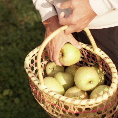 【産地直送】王林 贈答用 3kg(7〜10個)【配送不可地域：離島・沖縄県】【1663939】