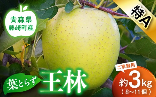 【先行予約】王林 特A ご家庭用 約3kg（8〜11個） りんご リンゴ 林檎  F41-0024